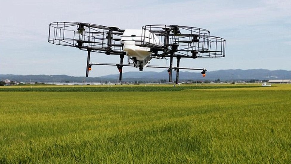 Japanci koriste i dronove u poljoprivredi/Reuters