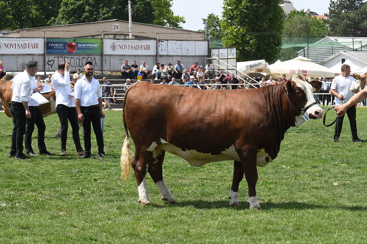 Kvalitet grla na visokom nivou - Portal NAŠE SELO